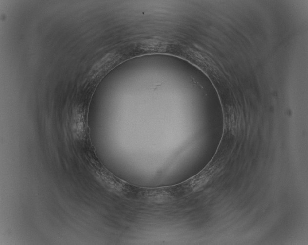 X0000074311154200608251228