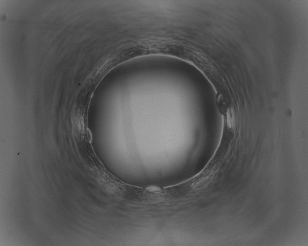 X0000074311155200608251228