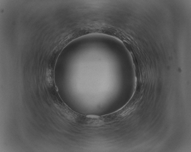 X0000074311156200608251228