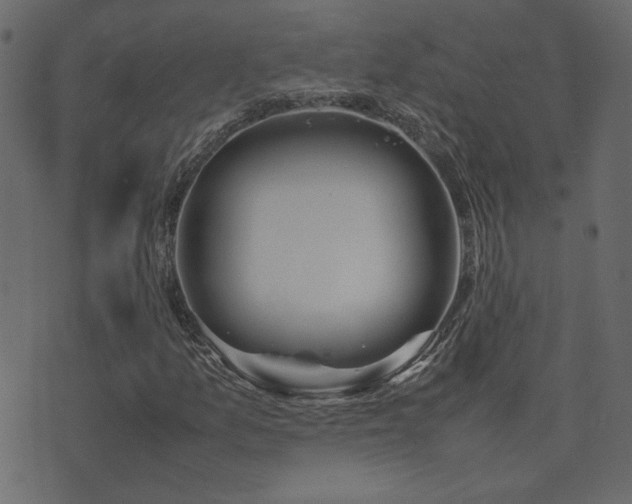 X0000074311157200608251228