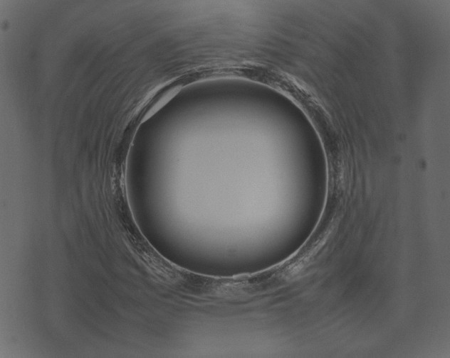 X0000074311161200608251228