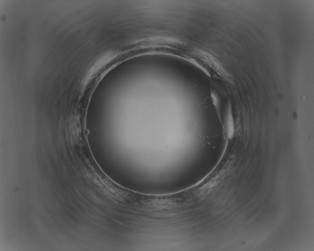 X0000074311164200608251228