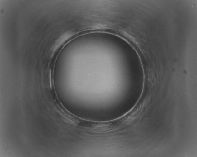 X0000074311171200608251228