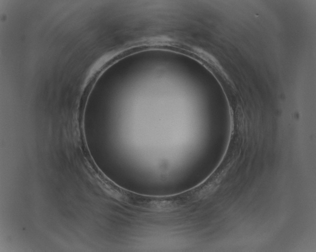 X0000074311176200608251228