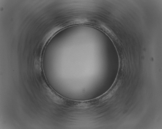 X0000074311178200608251228