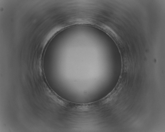 X0000074311182200608251228