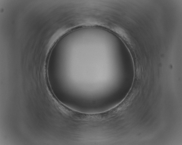 X0000074311183200608251228