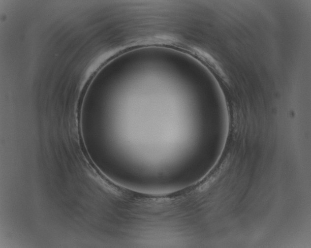 X0000074311184200608251228
