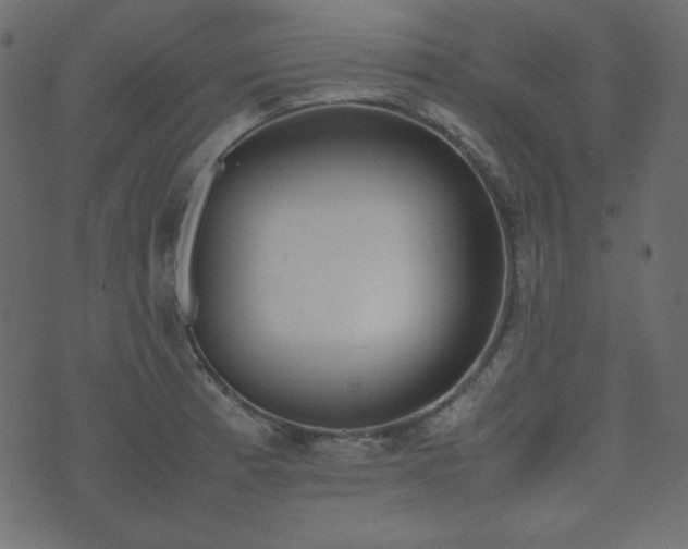 X0000074311185200608251228