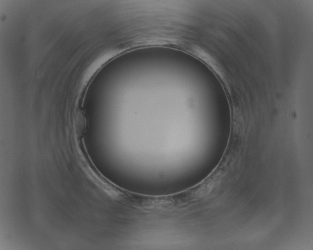 X0000074311187200608251228