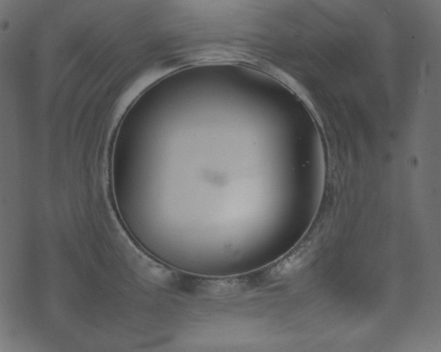 X0000074311195200608251228