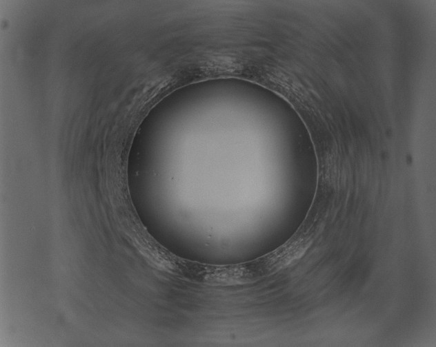X0000074311201200608251227