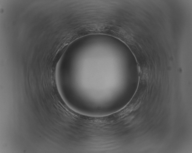 X0000074311202200608251227