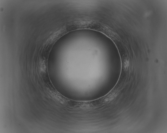 X0000074311204200608251227