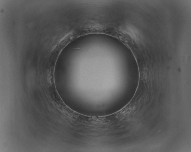 X0000074311205200608251227