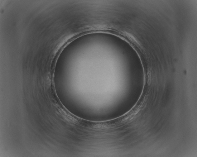 X0000074311212200608251227