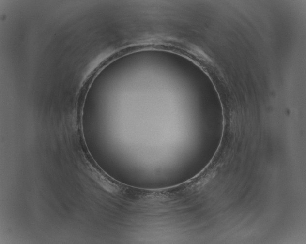 X0000074311216200608251227