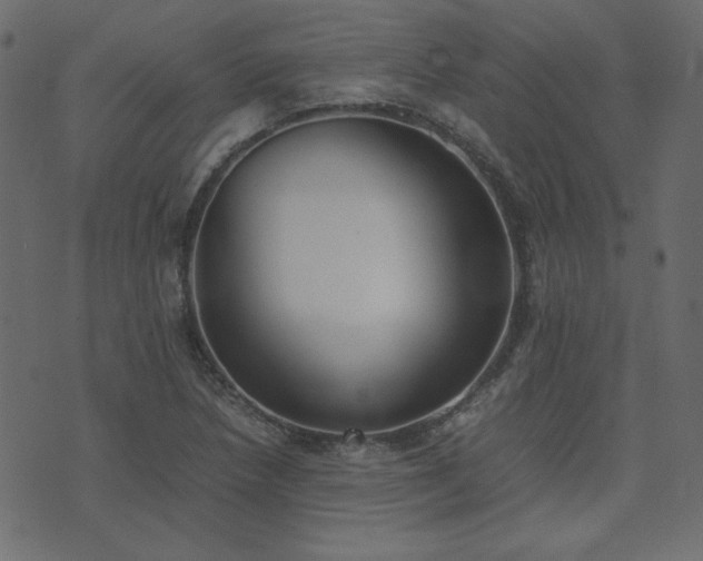 X0000074311218200608251227