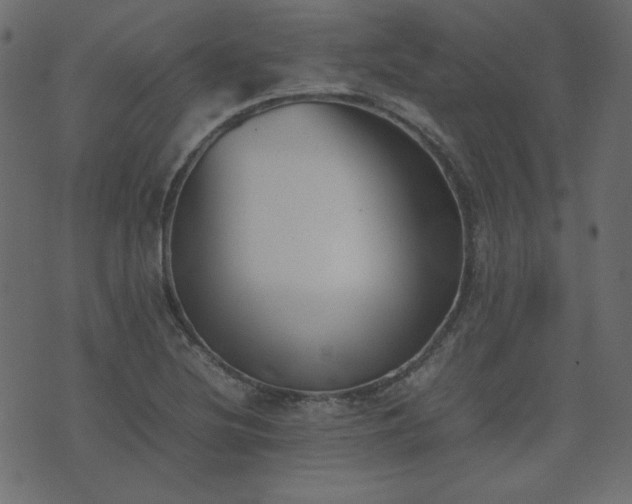 X0000074311220200608251227
