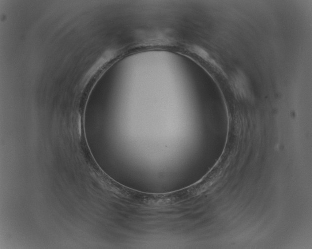 X0000074311221200608251227
