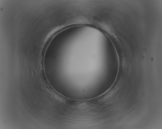 X0000074311222200608251227