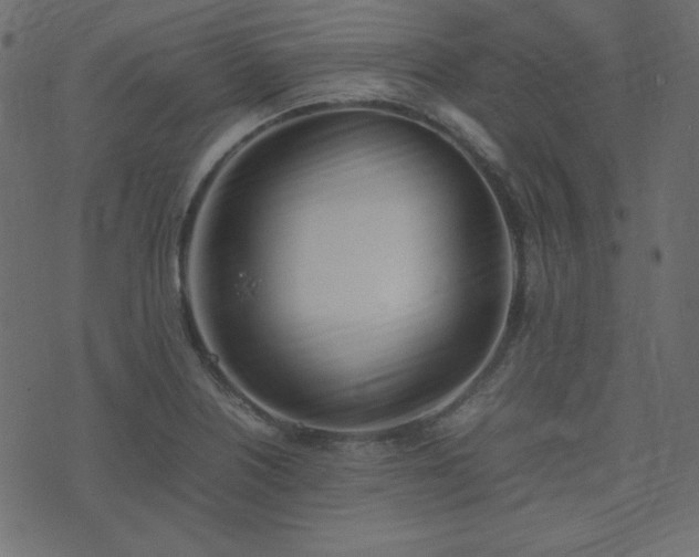 X0000074311226200608251227