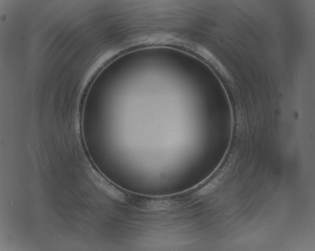 X0000074311232200608251227