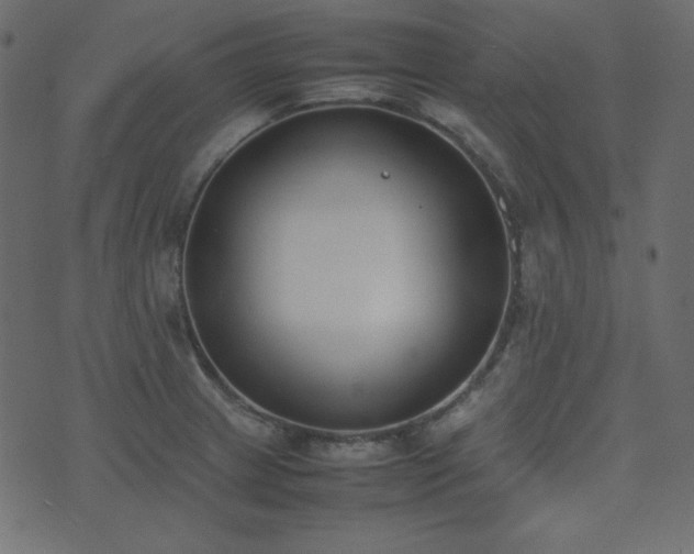 X0000074311233200608251227