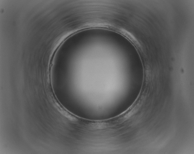 X0000074311236200608251227