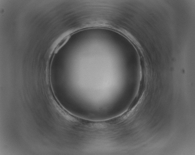 X0000074311246200608251227