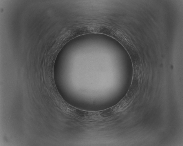 X0000074311249200608251227