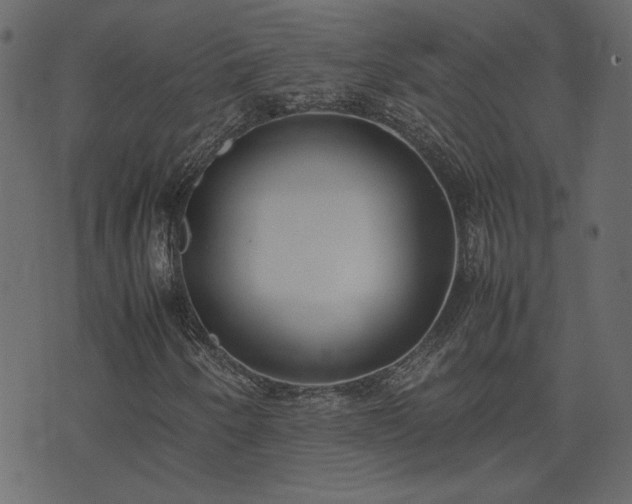 X0000074311250200608251227