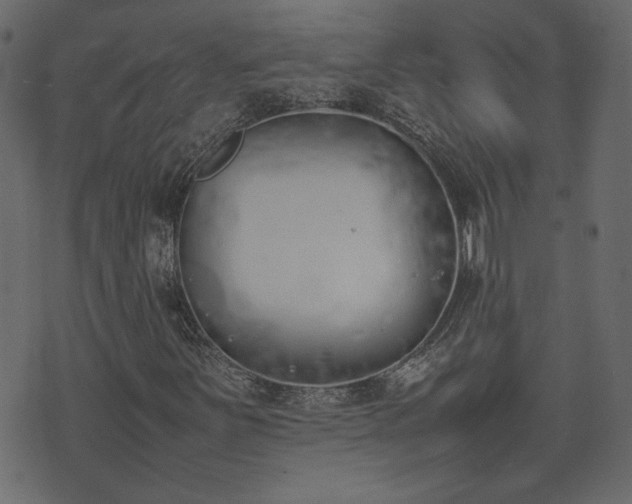 X0000074311251200608251227