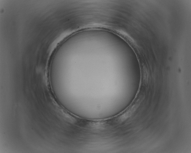 X0000074311278200608251226