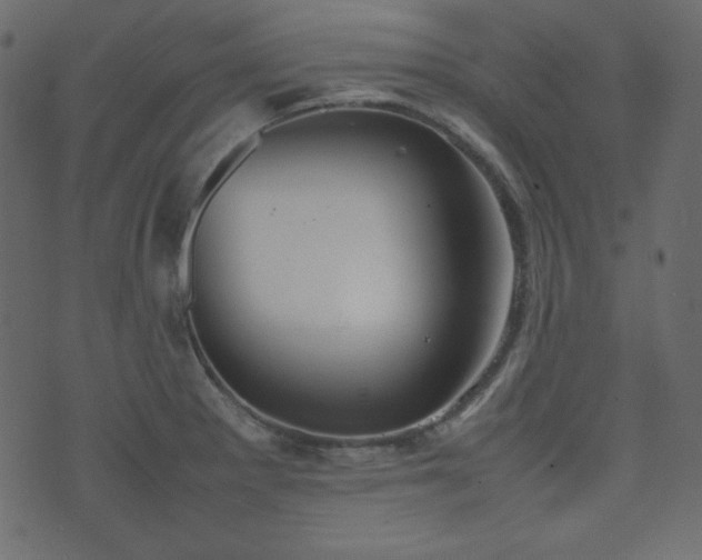 X0000074311281200608251226