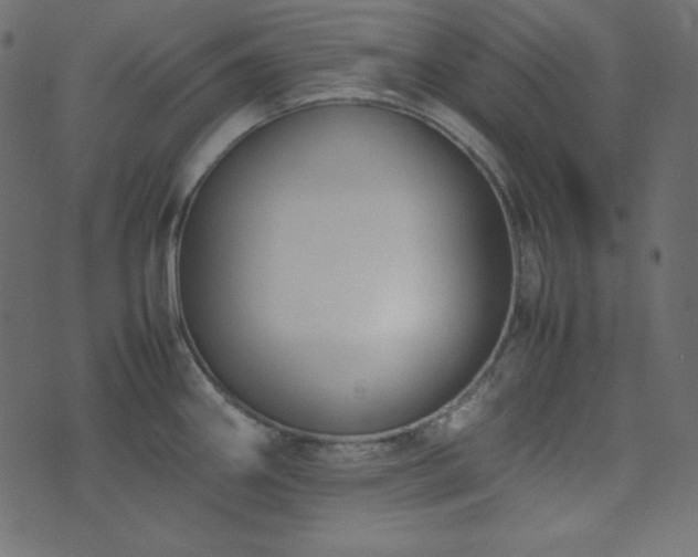 X0000074311290200608251226