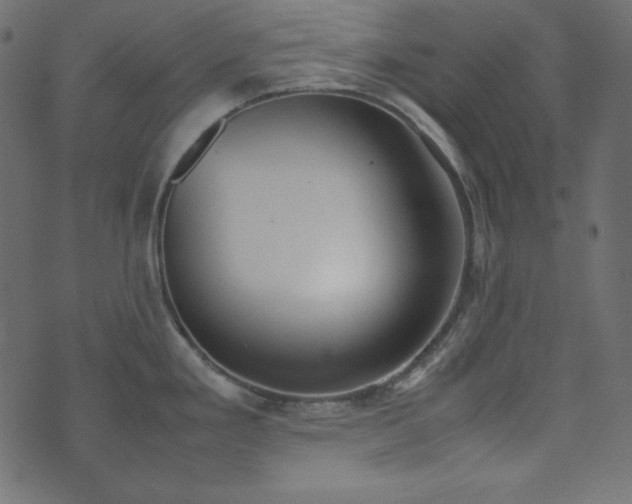 X0000074311293200608251226
