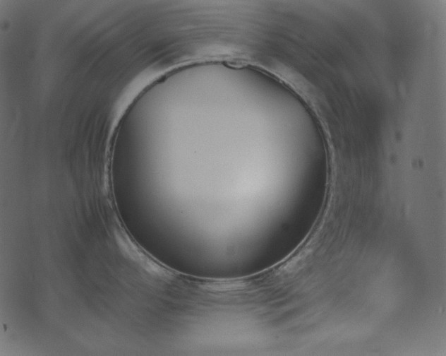 X0000074311296200608251226