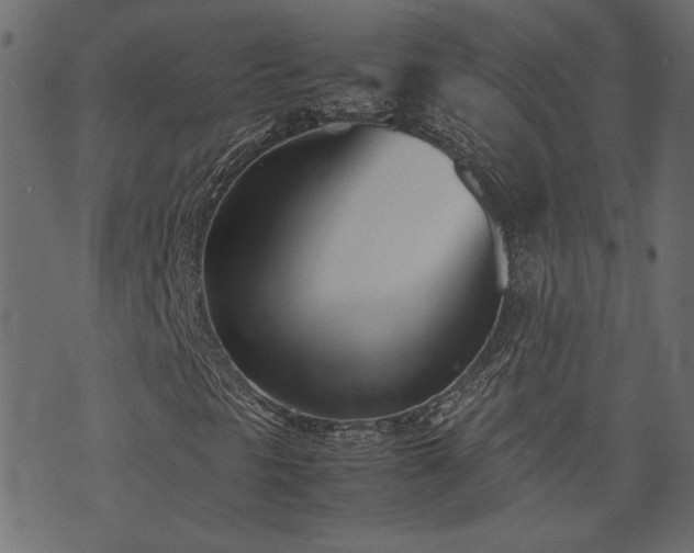 X0000074311297200608251225