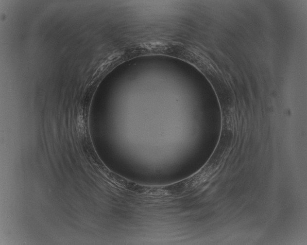 X0000074311298200608251225