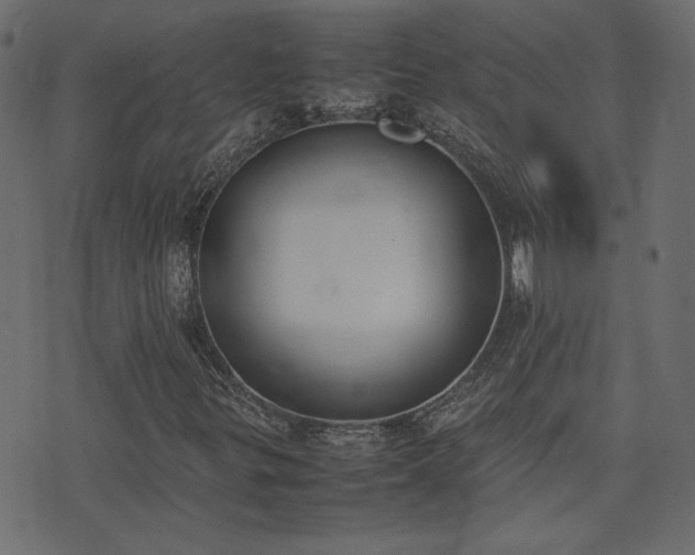 X0000074311299200608251225