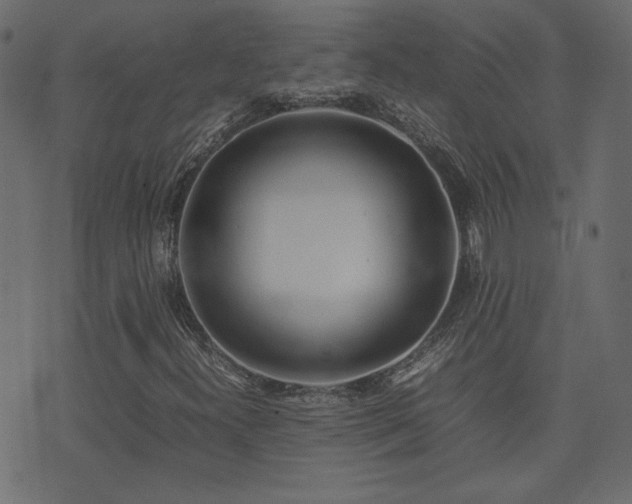 X0000074311300200608251225