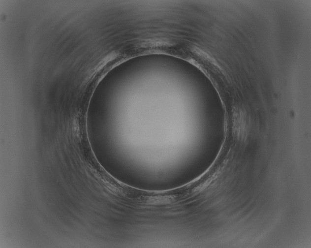 X0000074311305200608251225
