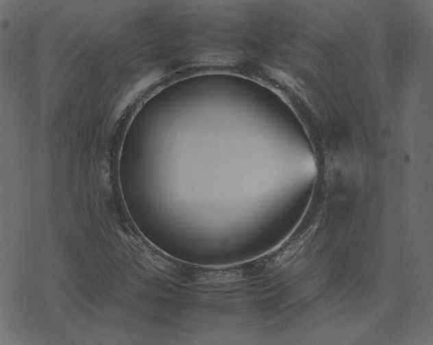 X0000074311307200608251225