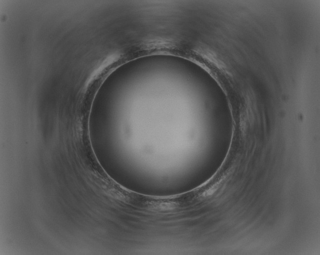 X0000074311309200608251225