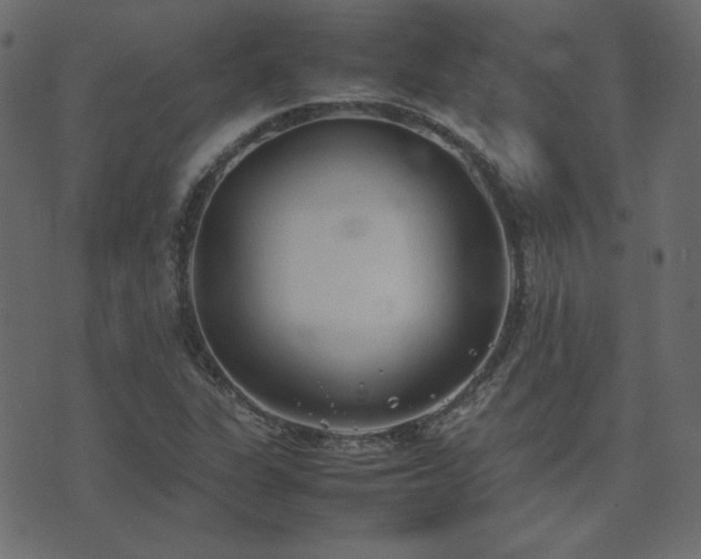 X0000074311311200608251225