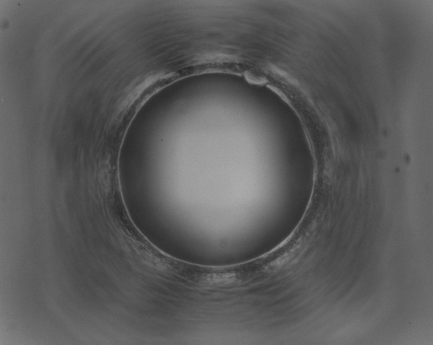 X0000074311313200608251225
