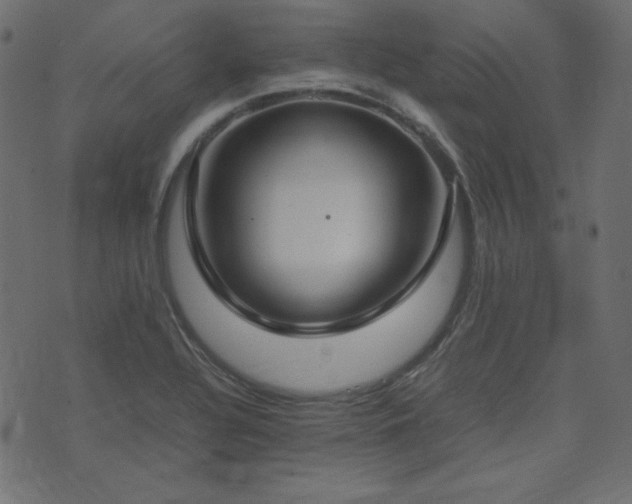 X0000074311320200608251226