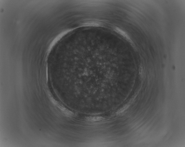 X0000074311323200608251226