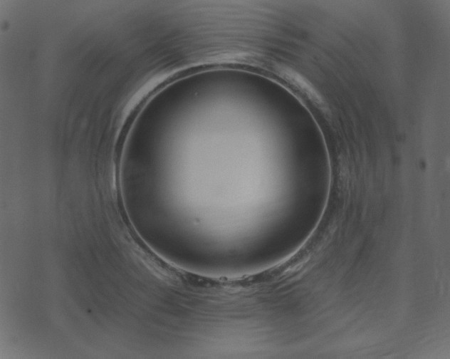X0000074311324200608251226